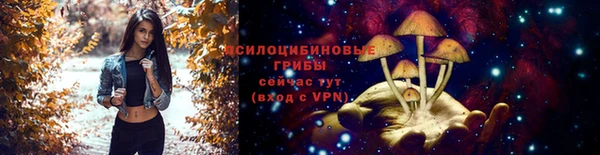 твердый Алексин
