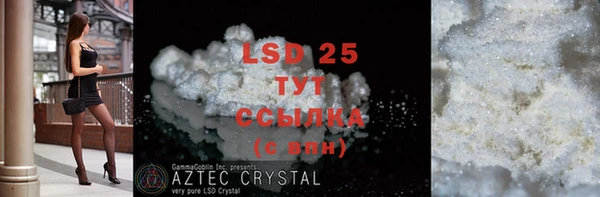 PSILOCYBIN Алзамай