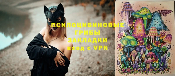 дмт Аркадак